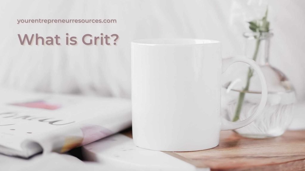 Lesson 3 – What is Grit?