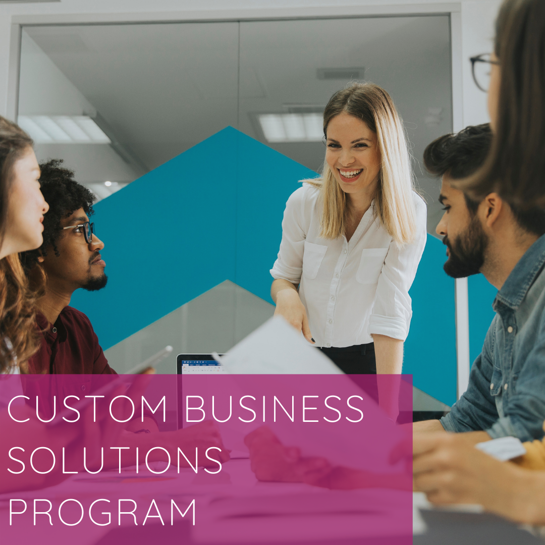 Custom Business Solutions Program (promo)