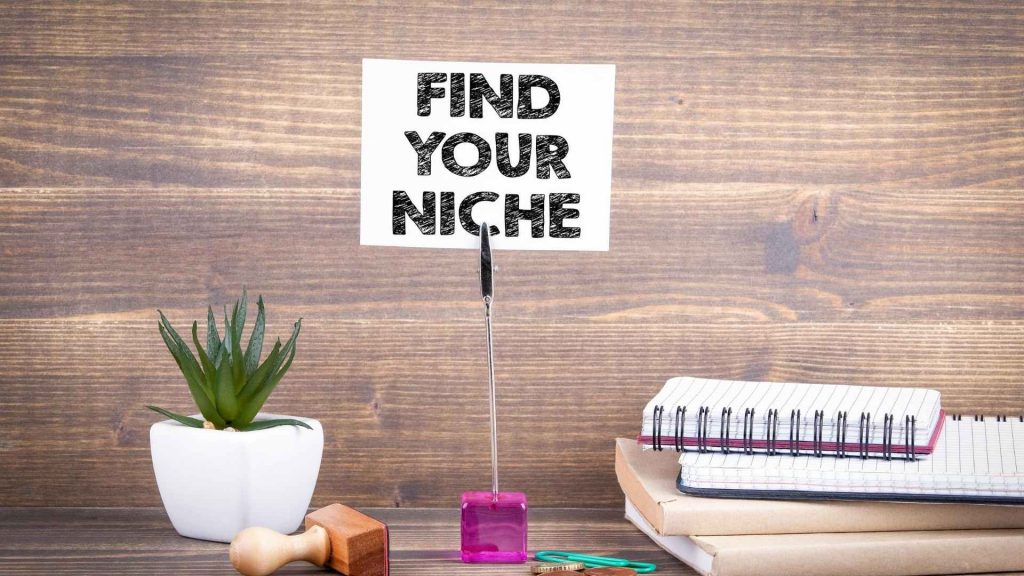 find your online business niche