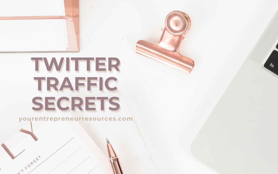 Twitter Traffic Secrets: Ultimate Guide to master how to use Twitter, Tips and Strategies