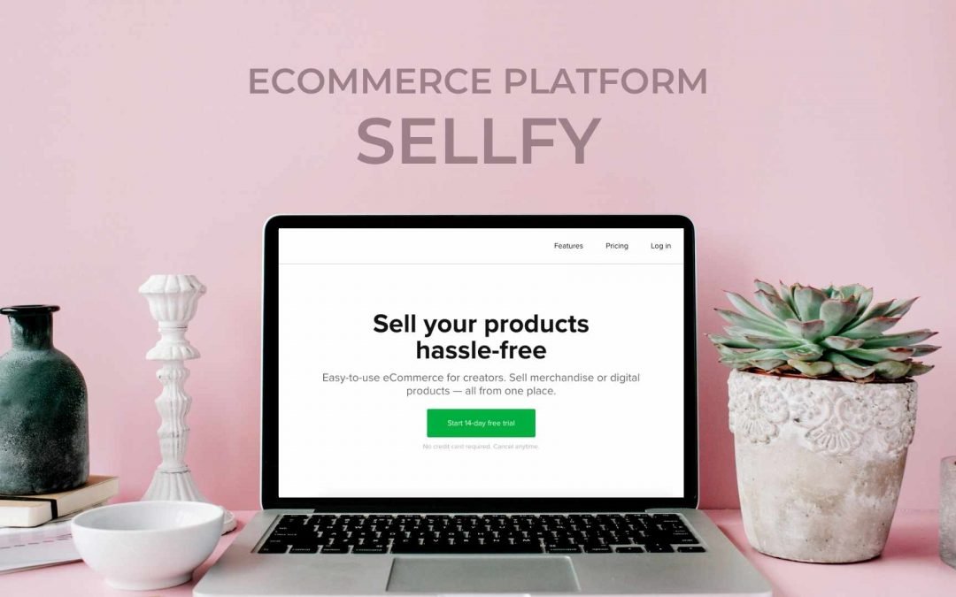 Sellfy Review: The features of this eCommerce platform, Pros & Cons